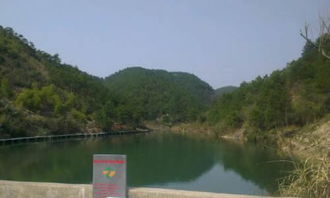 校園后山作文片段