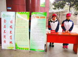 校園青志愿者活動(dòng)作文