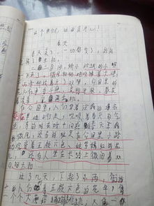 小學生四級關于春天的校園作文400字左右