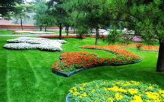 寫(xiě)校園里的花壇的作文