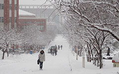 冬天校園的變化作文200字