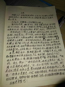 用總分介紹校園作文