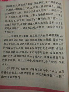 寫校園美景的作文450字作文