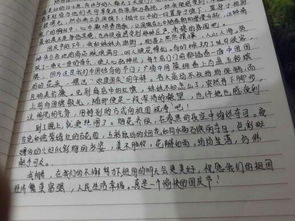 歡樂笑聲滿校園作文400字
