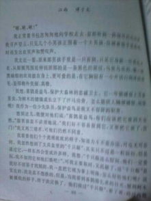 美食節(jié)活動作文六年級,班級美食節(jié)作文六年級,美食節(jié)作文600字六年級