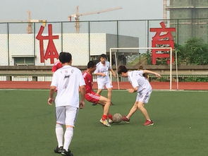 校園足球比賽作文450字,校園足球比賽作文450字左右,校園足球比賽作文400字