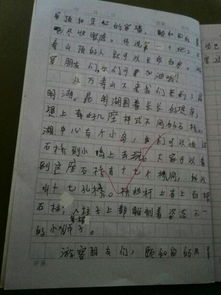 游的作文400字寫(xiě)校園