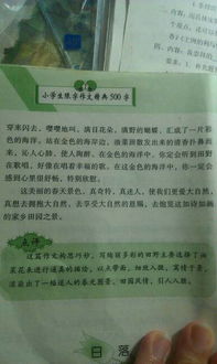 六小的風(fēng)景美麗的校園作文400字左右