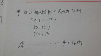 寫校園里的大樹(shù)像士兵作文