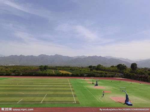 校園美麗的風景800字作文