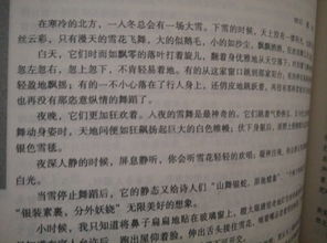 校園早晨的景色作文600字左右,校園早晨作文600字初中,校園早晨作文600字初一