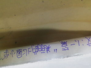 校園游覽作文400字