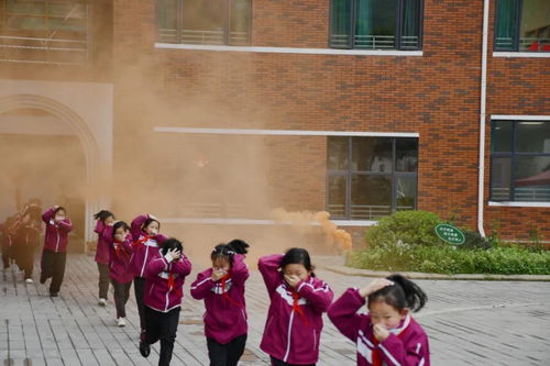 校園消防演練場景作文