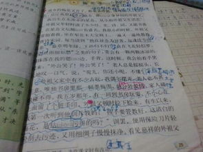 校園的鞭炮花作文四百字