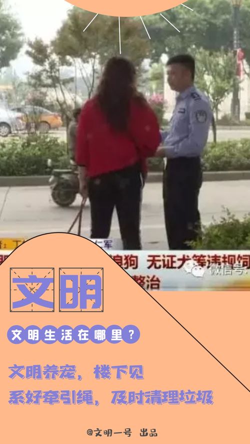 文明校園之我見作文