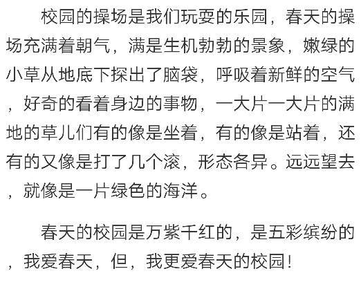 校園的春天500字作文櫻花