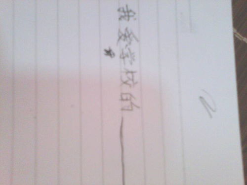 愛上校園的作文