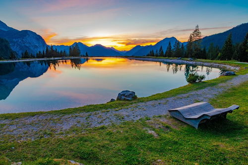 金秋九月的校園美景作文