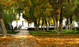 我的校園剪影作文600字初一