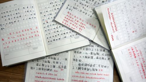 風從校園類作文開頭