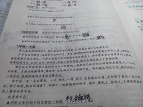 贊頌校園清潔工的作文