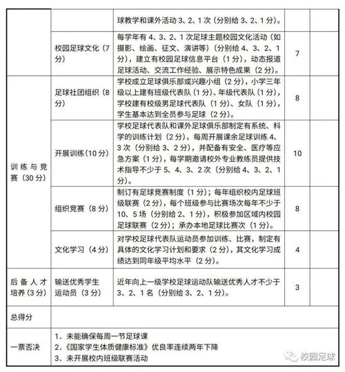 圍繞校園足球賽的作文