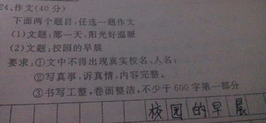 以校園的早晨為主題的作文