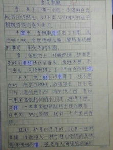校園美景吸引了我作文550字