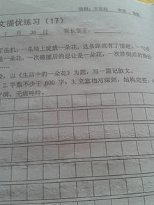 校園當(dāng)中的一朵花作文二百字