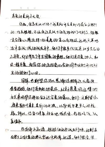 我的校園小雁塔小學作文