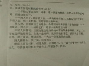 作文,議論文,贊美,高中