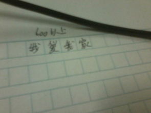 我愛我家校園作文600字