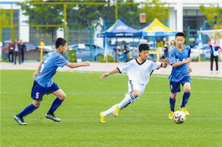 精彩的校園足球賽作文600字