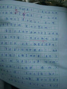 作文,校園,體育節(jié)