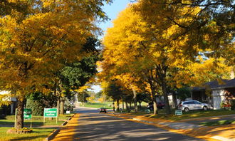 關(guān)于校園秋景作文五百字左右