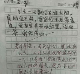 孫孫悟空來到我們校園作文怎么寫