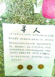 作文,相伴,校園