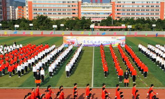 校園運動會100字作文