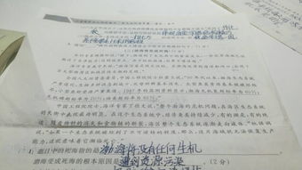 引用詩句描寫春天的作文,引用詩句描寫春天的作文開頭,引用詩句描寫春天的作文500字