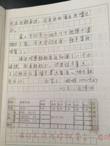 觀察校園作文400字