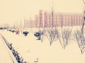 作文,冬天,校園,生活