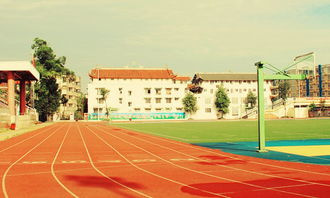 初中生校園風(fēng)景線作文