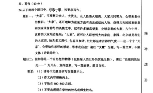 初一作文新的校園新的環(huán)境不少于500字