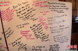 校園槍擊案的英語作文