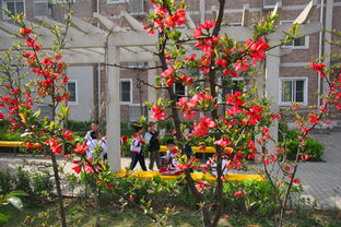 美麗的春天作文評語,小學生關(guān)于春天的作文的評語,關(guān)于春天作文的評語精選