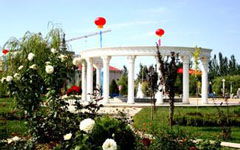 校園里的柳樹作文,校園里的柳樹作文300字左右,校園的柳樹作文300字三年級