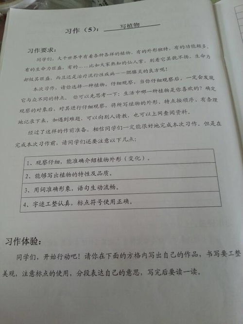 美麗的校園作文四百字四年級(jí)上冊(cè),美麗的校園寫景四百字四年級(jí),美麗的校園作文400字左右四年級(jí)上冊(cè)