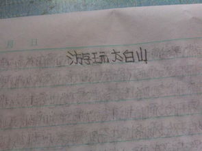 我們的校園270個(gè)字作文