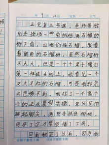 在校園里摘石榴的作文