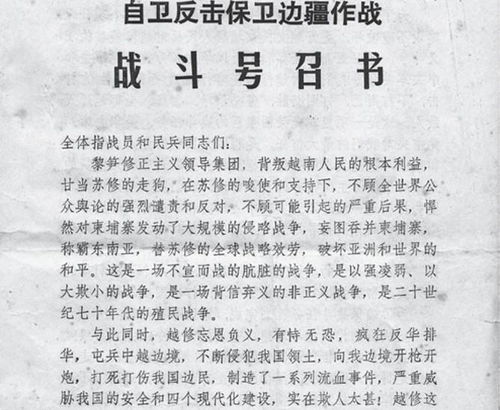 作文,愛護,校園,一草一木